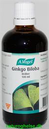 Ginkgo Biloba dr�ber A. Vogel